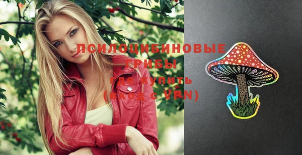 стаф Верхний Тагил