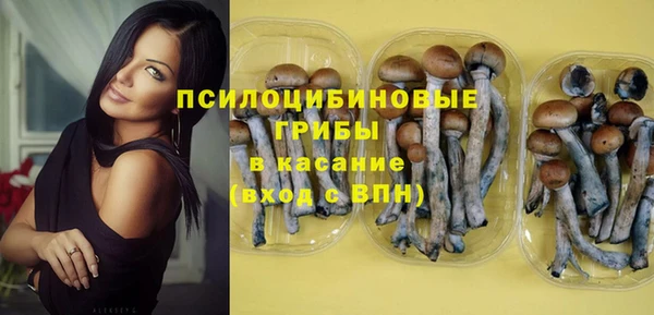 стаф Верхний Тагил